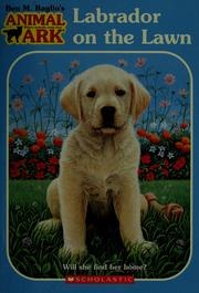 Labrador on the Lawn cover