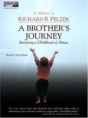A Brother's Journey cover