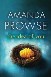 The Idea of You cover