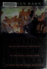 A Nation Under Our Feet: Black Political Struggles in the Rural South from Slavery to the Great Migration cover