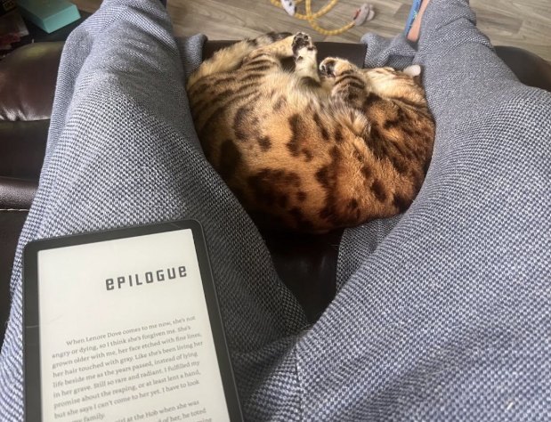 A Kindle open to the epilogue, with a cat curled up asleep on a lap